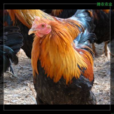 ݲũֵ׼Ƕٰʼڽ