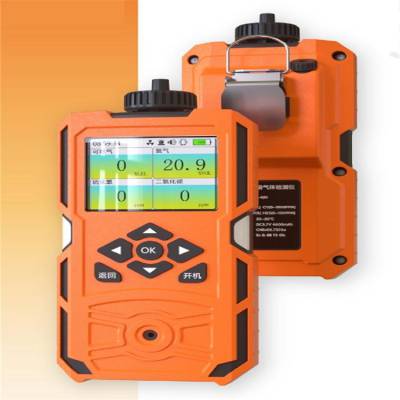 防爆泵吸式气体检测仪/便携气体检测仪（测量气体：可燃EX、氧气O2、一氧化碳CO、硫化氢H2S） 型号:X-4(BX)
