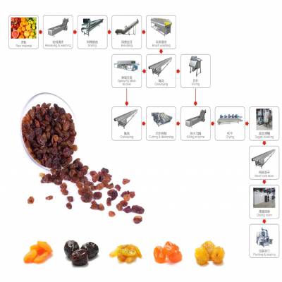 果脯、果干加工成套生产线 红薯、红枣水果加工生产线机械