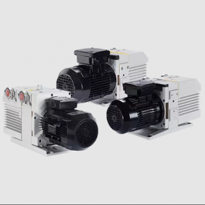 Leybold ˫ͷʽTRIVAC D4BƬձ