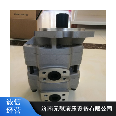 GPC4-80/63˫Һѹֱ GPC4-63/50˫Һѹ
