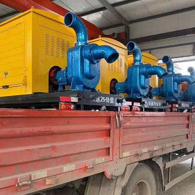 柴油机水泵 移动泵车 柴油泵车 防汛泵车厂家