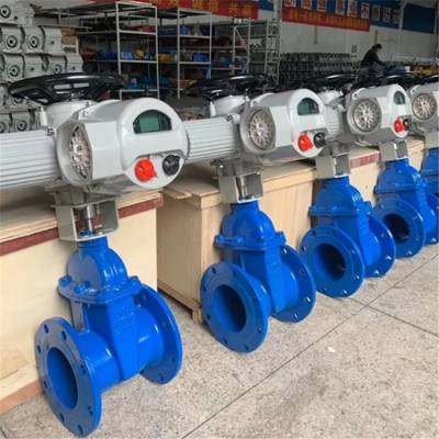 Z945X ְܷբ Z945X-10P DN125綯˵ܷբ ˮբբ