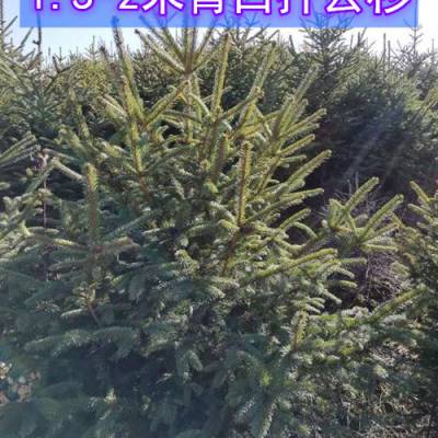 1.5-2Ǥɼ30*30