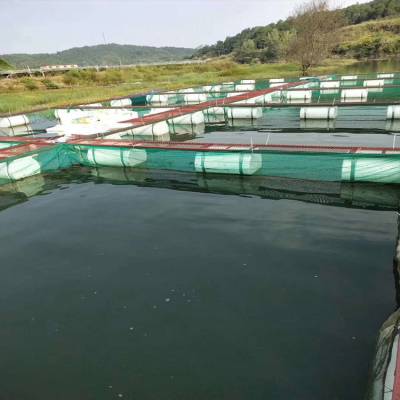 淡水网箱养鱼设备及价格 淡水网箱养鱼设备及价格及图片