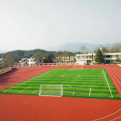 广东湛江塑胶跑道施工_篮球场建设施工_人造草坪足球场施工_学校运动场翻新_能冠体育工程