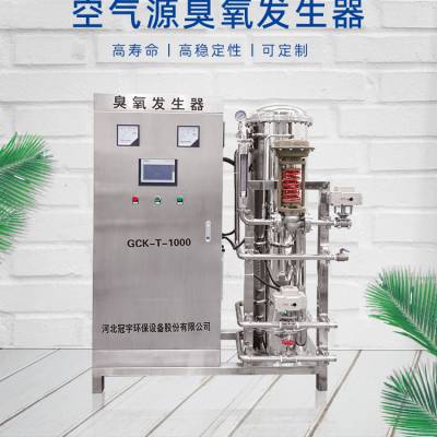 污水处理厂末端接触氧化臭氧发生生器工厂冠宇臭氧发生器