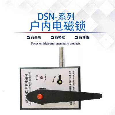 DSN-BM型户内电子锁户内电磁锁高压柜门锁DSN-BMZ