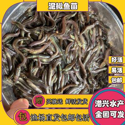  ӰĻ繩Ӧ ۸ʵ