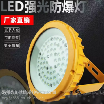 led防爆照明灯具 大功率l泛光灯 LED免维护防爆灯定制