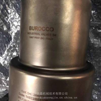 Burocco代动控制阀中国区代理销售