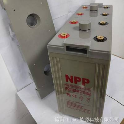 NPPNP2-1000 2V1000AHǦάUPS/EPSͨ