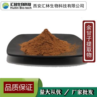 余甘子提取物 油甘子浓缩粉末 植物萃取 水溶原料 1千克起订