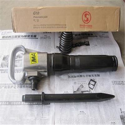 g10 ֻеG10