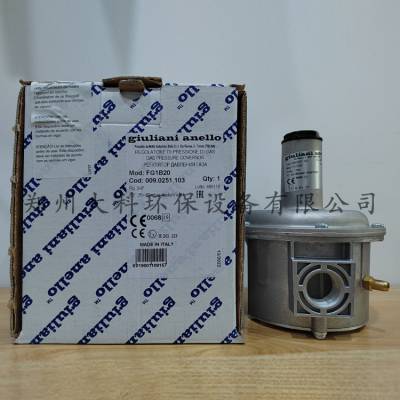 giuliani anello FG1B20_FG1B15ȼѹ