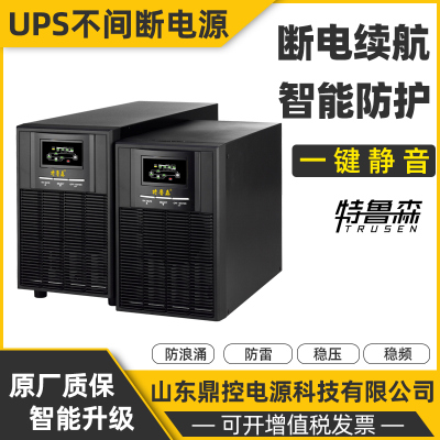 TRUSEN特鲁森 TLS1103-LR机架式UPS不间断电源机房数据中心稳压稳频巡检维修更换