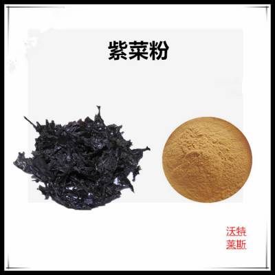 紫菜速溶粉 萃取粉 可水溶 沃特莱斯生物 食品级原料