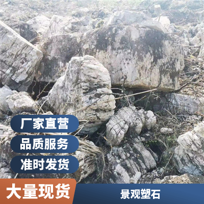 翰腾石业 点缀造景草坪石 量大供应龟纹石 庭院河道景观石