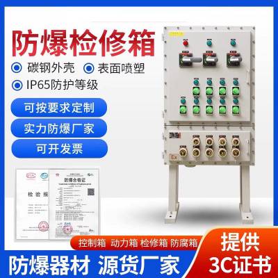 防爆配电箱柜检修箱就地插座控制柜仪表接线箱照明控制电源箱IIB