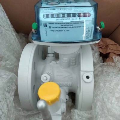Itron  TZ150 G1000ƣTZ 150 G 1000    