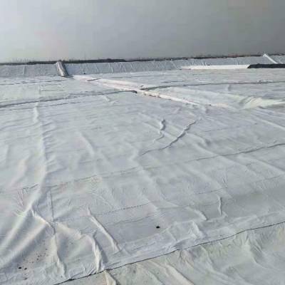 环保工程垃圾填埋场hdpe土工膜