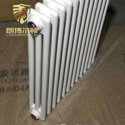 朗博尔顿生产工程用的-耐腐蚀钢制柱型暖气片-GZ306暖气片报价
