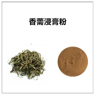 香薷浸膏粉 生粉 可水溶 棕黄色粉末 沃特莱斯生物