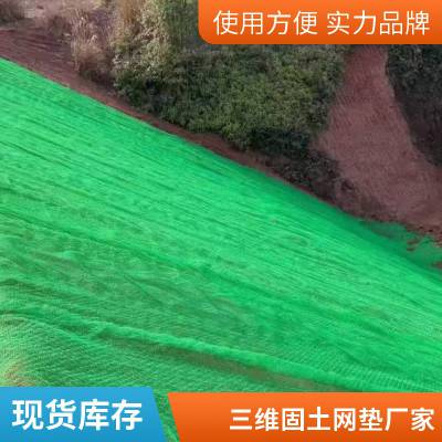 世杰定制 三维植被网 固土网垫 三层国标绿化网