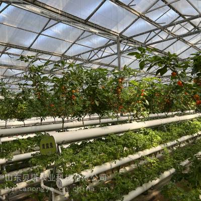 无土栽培设备草莓种植A字架立体种植槽尺寸可定制
