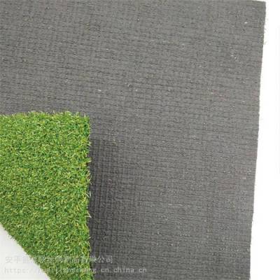 绿色塑料仿真地毯 工程围挡假草坪 四季生动易打理