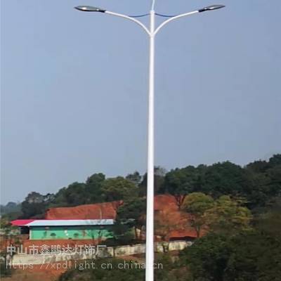 芯鹏达新农村道路照明小区停车场12米双臂灯杆路灯头XPD-LD25