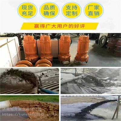 潜水式抽沙泵 船用水塘排砂泵 河底挖沙采沙泵