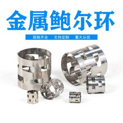 供应不锈钢矩鞍环 金属矩鞍环 英特洛克斯