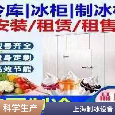 上海制冰机 大型商用奶茶店片冰制冰设备 菲凡食品机械