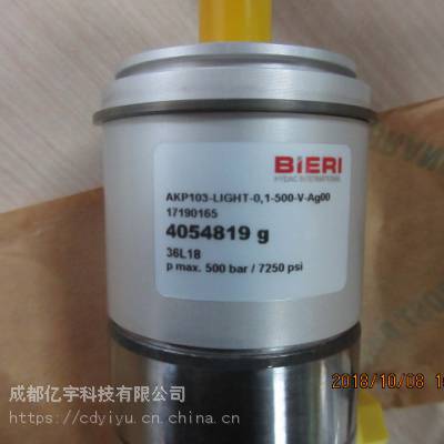 BIERI 4054819 AKP103-LIGHT-0,1-500-V-A*00 轻型泵