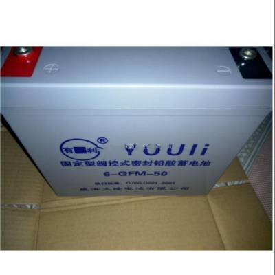 ̫ԭYOULI¡GFM-3002V300AHӦû