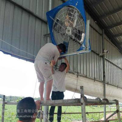 奶牛场降温风机 立柱悬挂式排风扇 牛棚安装风扇喷淋装置