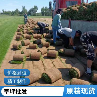 顺义草坪基地铺装家庭庭院设计户外草坪铺装