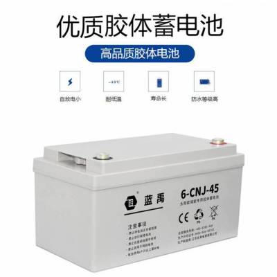 6-CNJ-45蓝禹蓄电池12V4***H密封阀控式免维护直流电源 外配电池