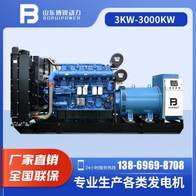 1000KW񷢵Զͷ龲ͷ
