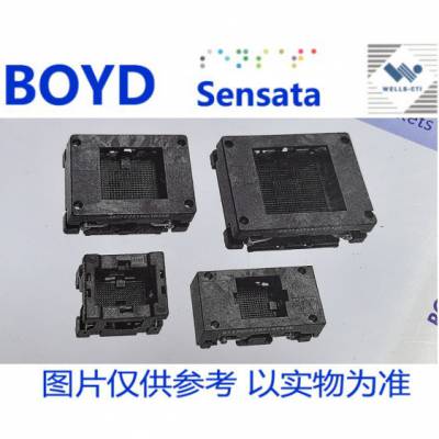 8823A153-1ES01美国BOYD/SENSATA/WELLS-CTI/QINEX BGA-153-1.27