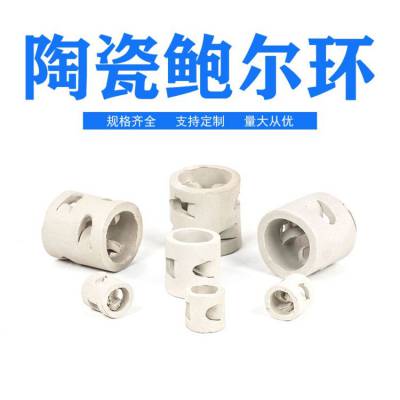 陶瓷鲍尔环 陶瓷阶梯环 陶瓷拉西环