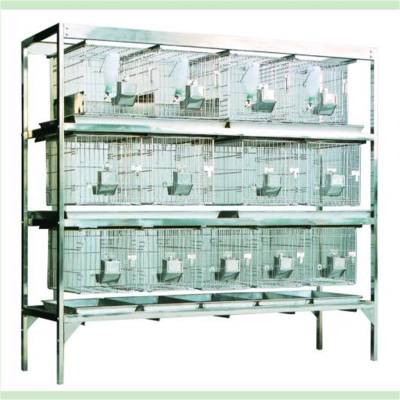 ����ʽʵ������ 15��λ �ͺ�:JV222-15��ţ�M64187