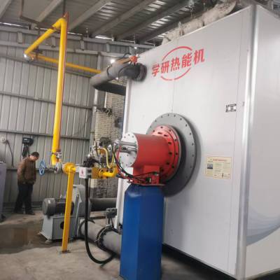基鼎低氮氧化物40吨气体煤气燃气废气燃烧器厂家定制