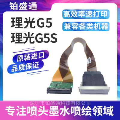 理光 G5 喷头 GEN5 工业喷头 UV 平板打印机喷头现货原装理光 G5 喷头 高精度数码印刷喷头 厂家批发