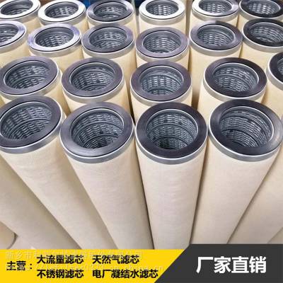 天然气滤芯 140×950 利菲尔特厂家