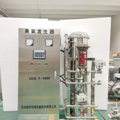 养殖废水臭氧氧化 脱色除味 臭氧灭菌 氧气源1-20kg/h臭氧发生器