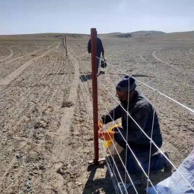 宇润 养牛围栏网 边界网封山育林 牛栏网立柱免挖坑