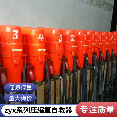 泽荣30min压缩氧自救器_煤矿井下用ZYX45隔绝式压缩氧自救器批发供应