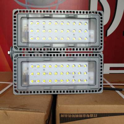 NFC9760LEDͶ ģ100W